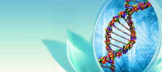 安富家：让基因无国界，健康通天下